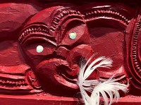 Te Papa: Waka Close Up 1