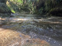 Wai Stream - Close Up