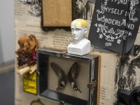 Floristry Diorama Display