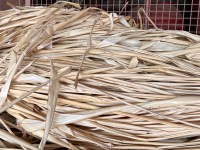 Paper Bark