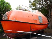 Life Raft Large